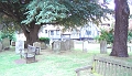 PICT0204 Rye Churchyard